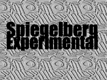 Spiegelberg Experimental